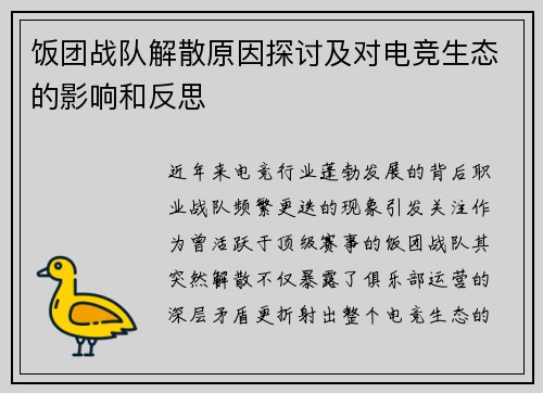 饭团战队解散原因探讨及对电竞生态的影响和反思